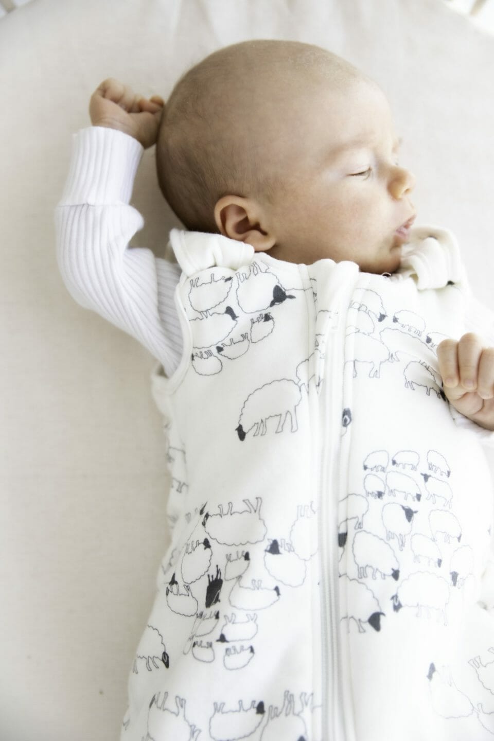 Ergobaby Vreća za spavanje - Sheep 0-6/S TOG 0,5 - Slika 5