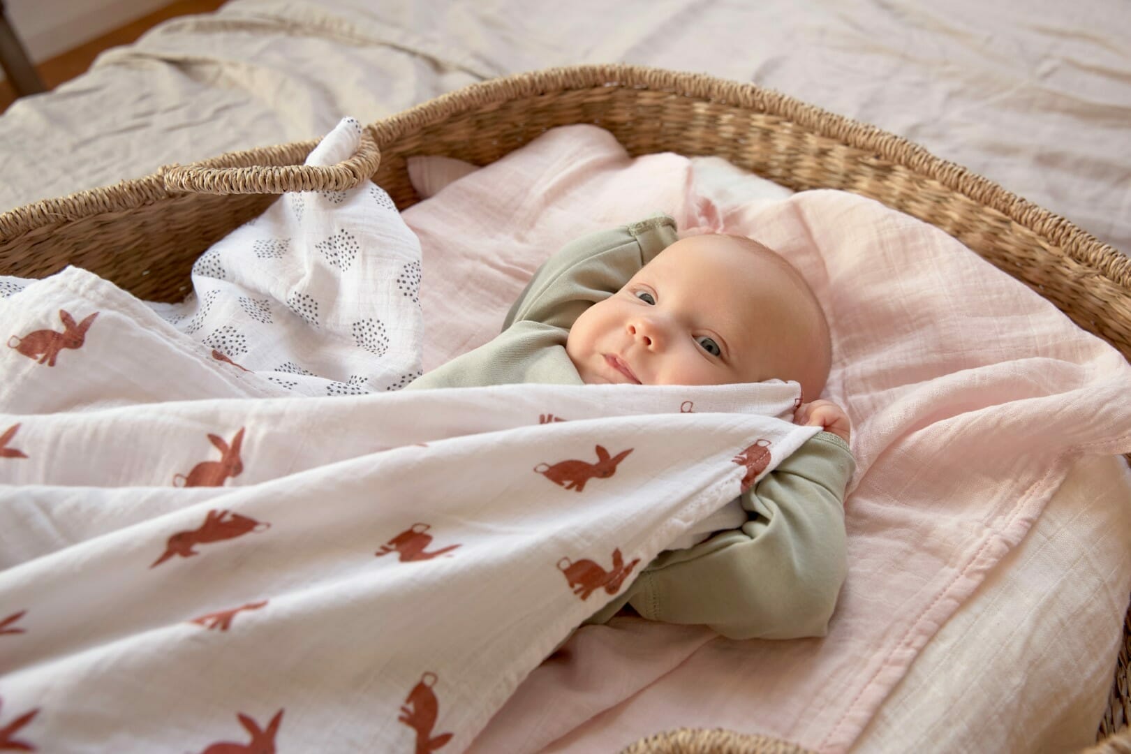 Lässig Tetra pelena M Little Forest Lisica 3 kom, 60 x 60 cm - Slika 4