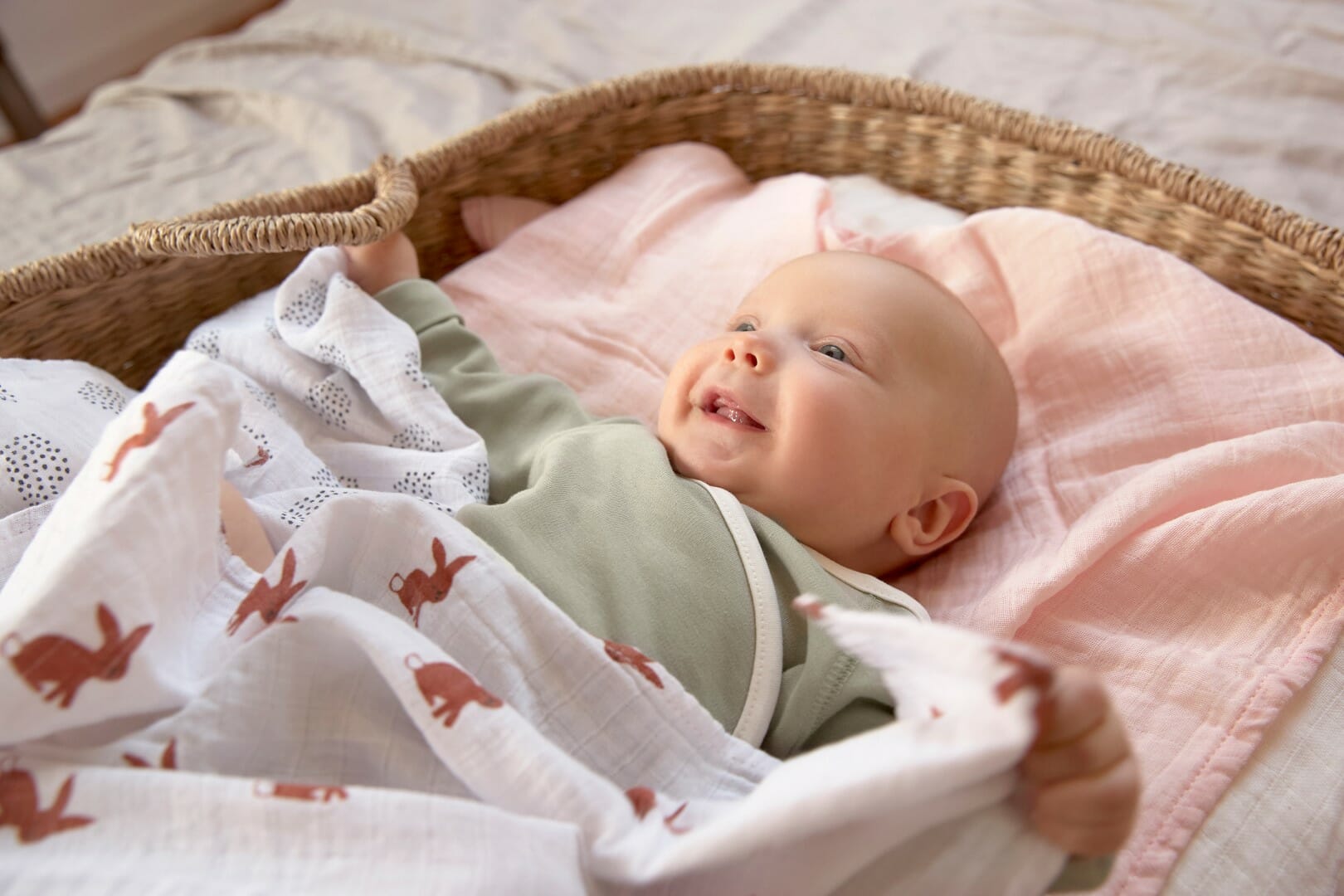 Lässig Tetra pelena M Little Forest Lisica 3 kom, 60 x 60 cm - Slika 5