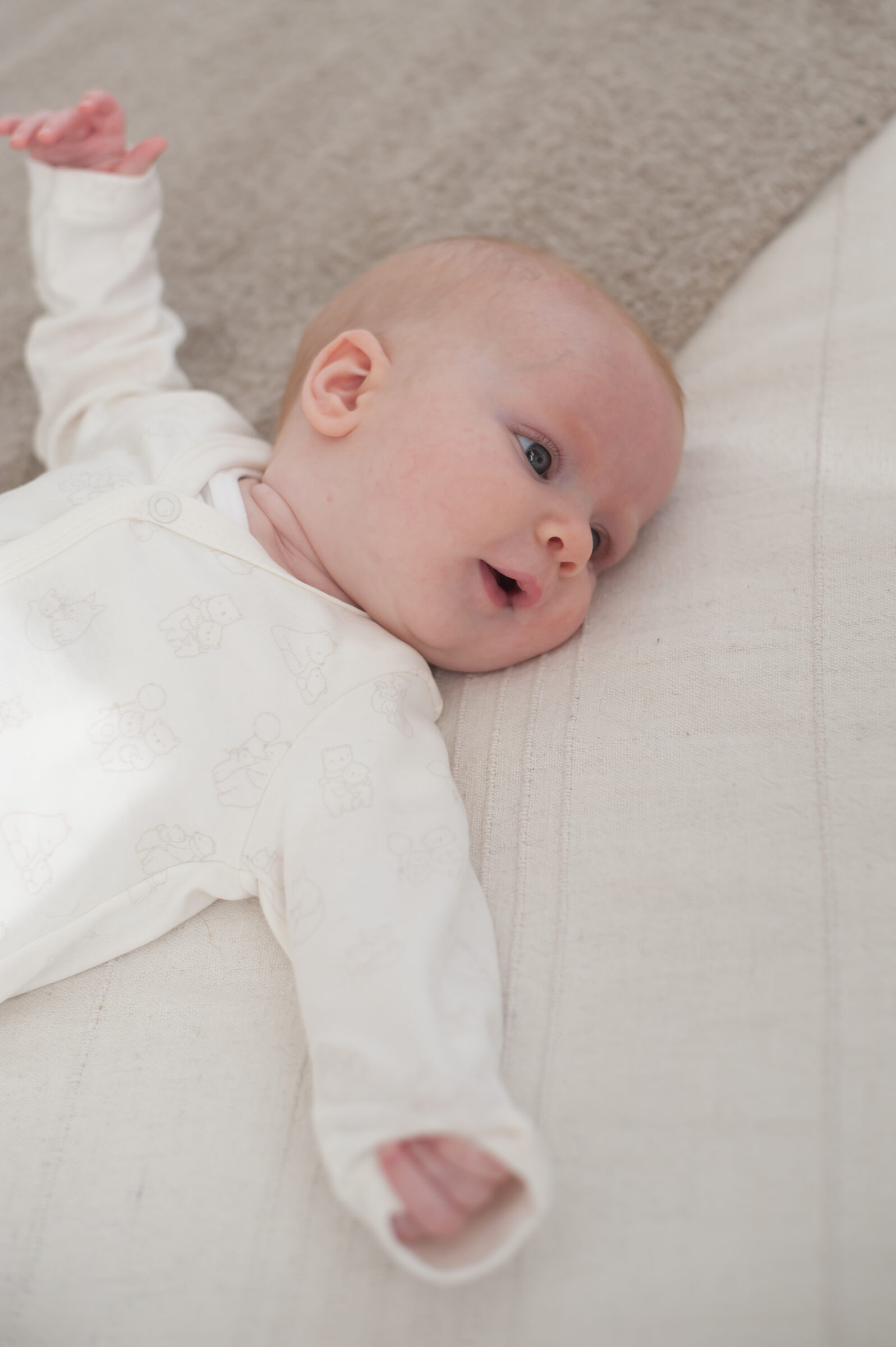 Kenguru Gold Body benkica "full print" 50-56 - Slika 3