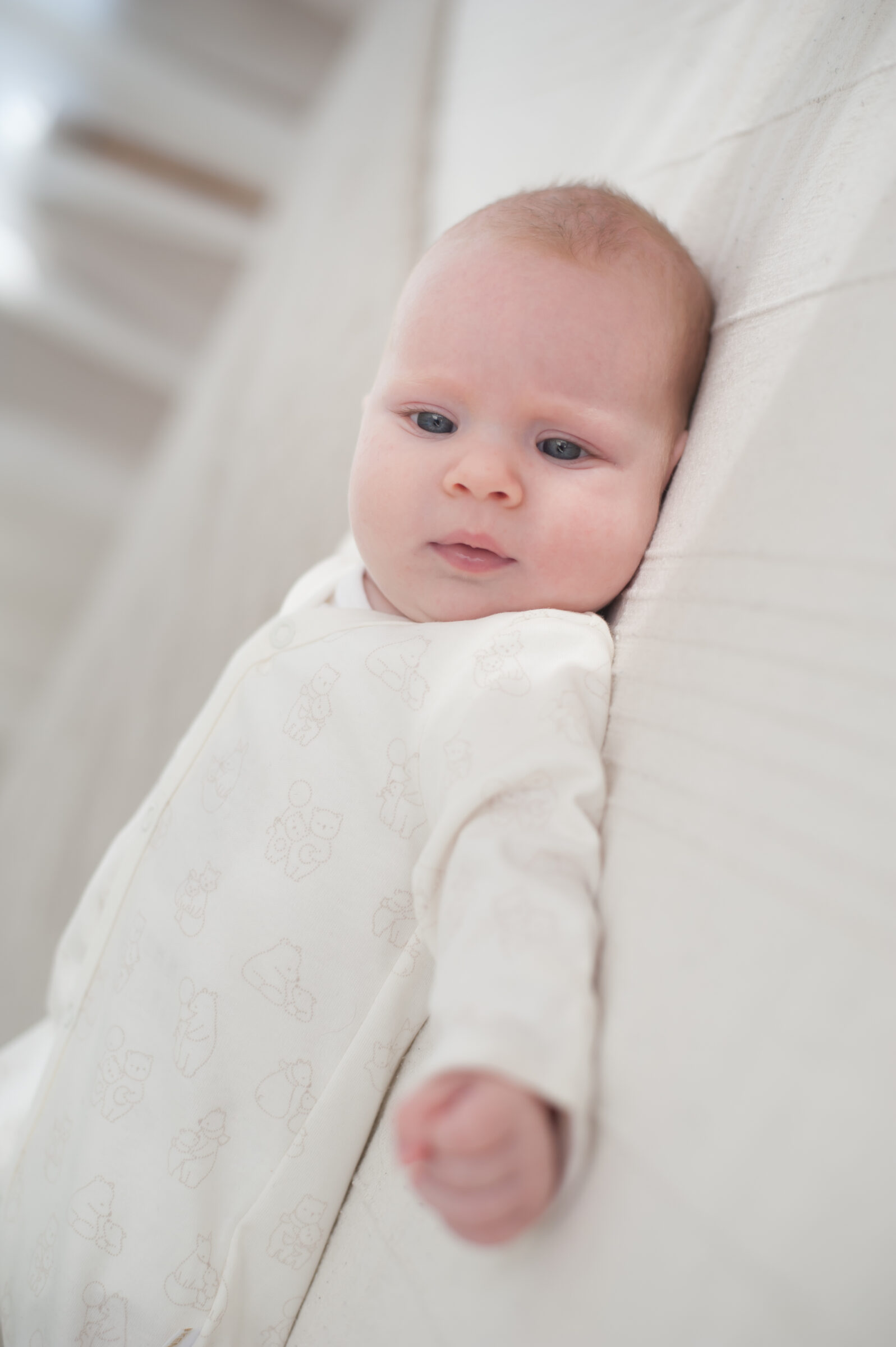 Kenguru Gold Body benkica "full print" 50-56 - Slika 5